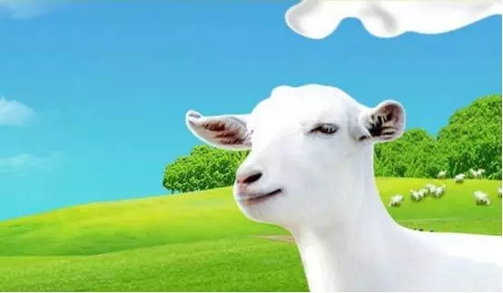 PP���ӡ�������(������Ϸ)�ٷ���վ