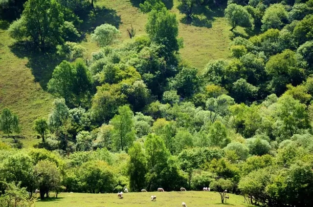 PP���ӡ�������(������Ϸ)�ٷ���վ