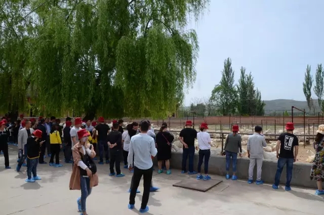 PP���ӡ�������(������Ϸ)�ٷ���վ