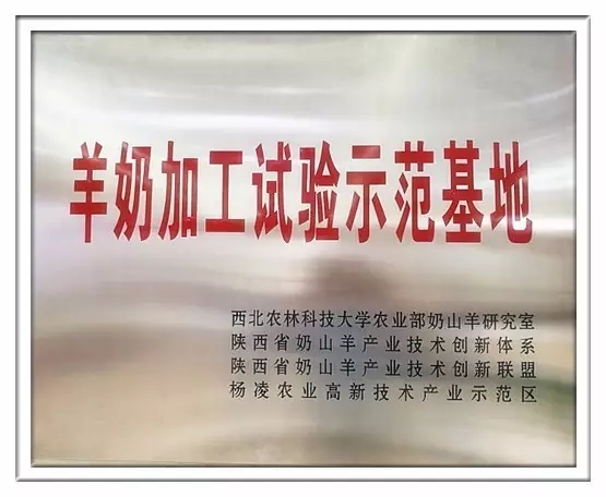 PP���ӡ�������(������Ϸ)�ٷ���վ