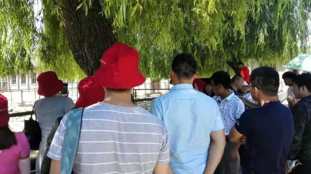 PP���ӡ�������(������Ϸ)�ٷ���վ