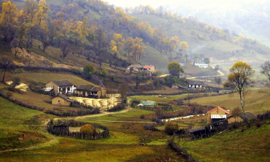 PP���ӡ�������(������Ϸ)�ٷ���վ