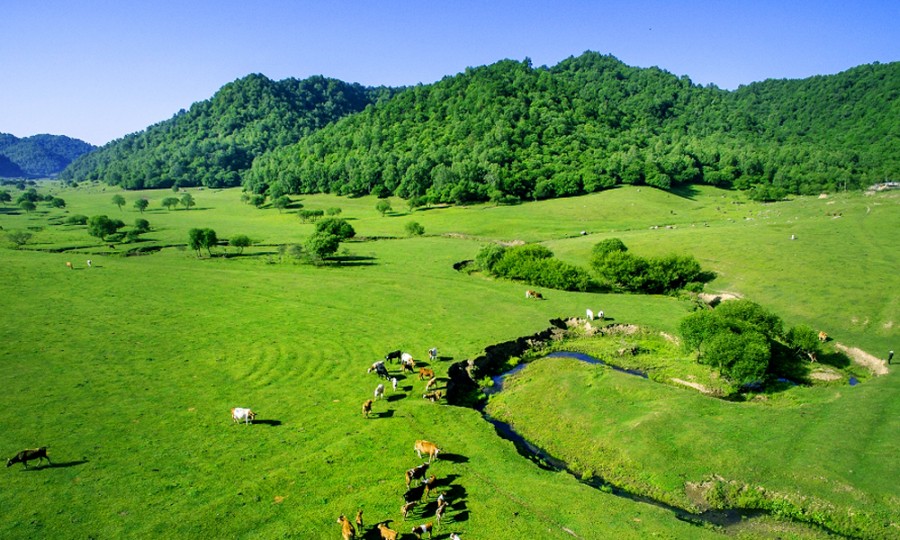 PP���ӡ�������(������Ϸ)�ٷ���վ