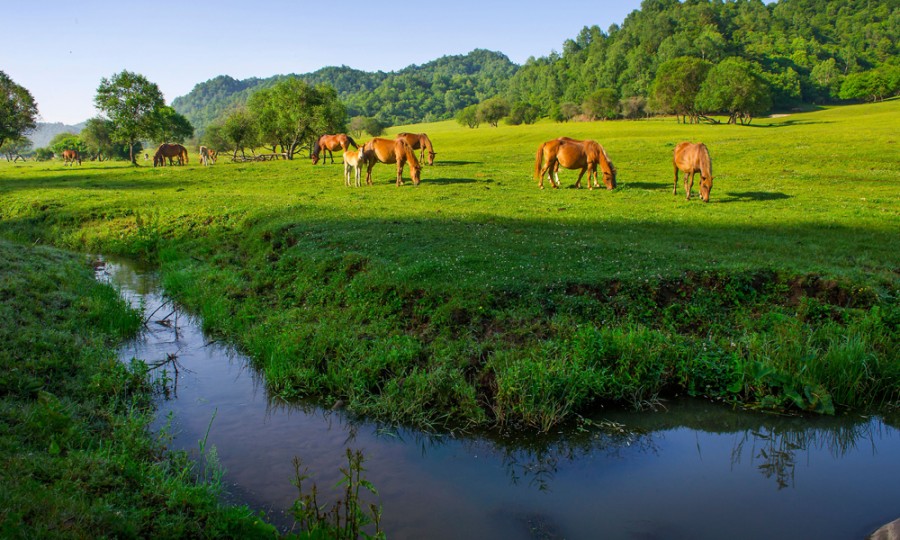 PP���ӡ�������(������Ϸ)�ٷ���վ