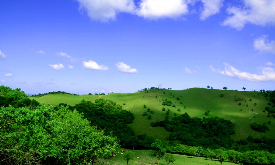 PP���ӡ�������(������Ϸ)�ٷ���վ