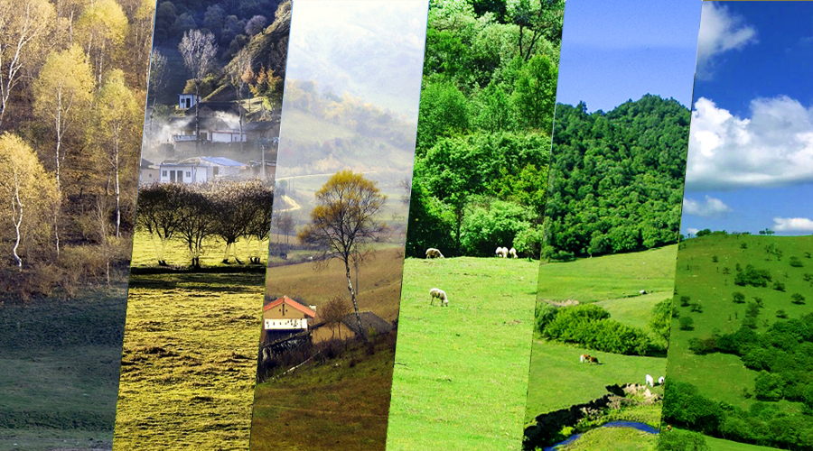 PP���ӡ�������(������Ϸ)�ٷ���վ