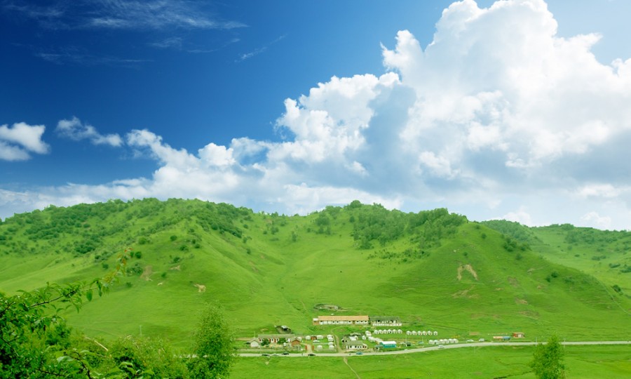 PP���ӡ�������(������Ϸ)�ٷ���վ