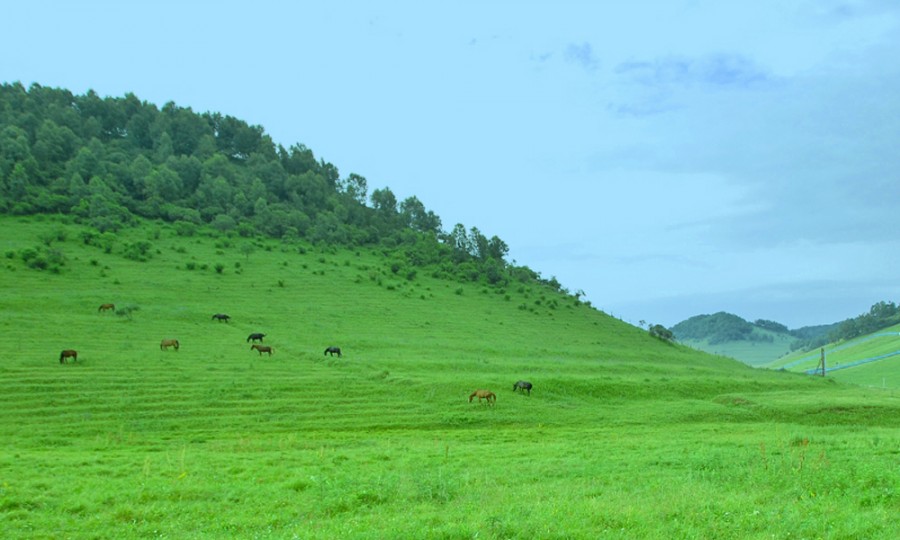 PP���ӡ�������(������Ϸ)�ٷ���վ