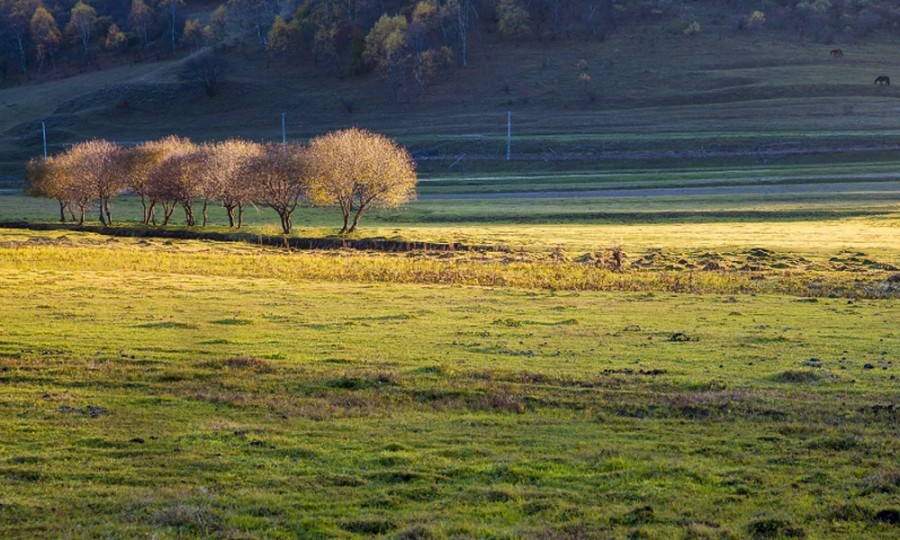 PP���ӡ�������(������Ϸ)�ٷ���վ