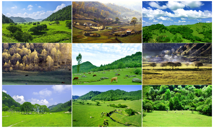 PP���ӡ�������(������Ϸ)�ٷ���վ