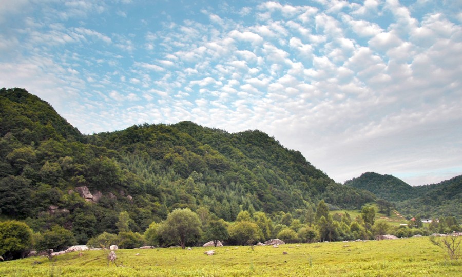 PP���ӡ�������(������Ϸ)�ٷ���վ