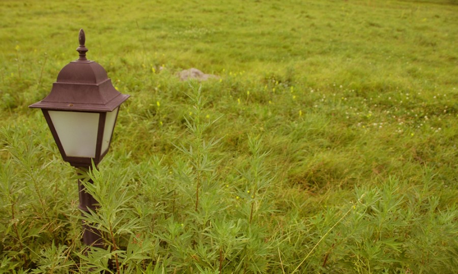 PP���ӡ�������(������Ϸ)�ٷ���վ