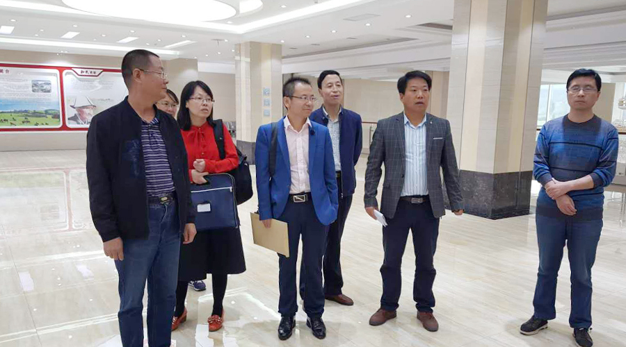 PP���ӡ�������(������Ϸ)�ٷ���վ