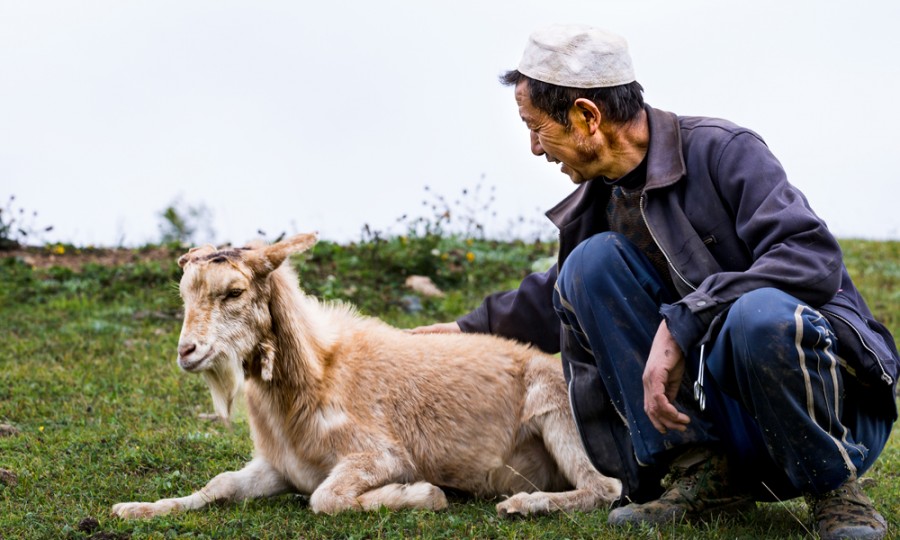 PP���ӡ�������(������Ϸ)�ٷ���վ