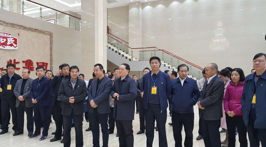 PP���ӡ�������(������Ϸ)�ٷ���վ