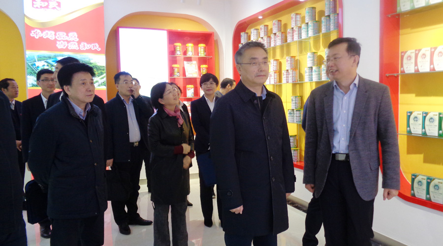 PP���ӡ�������(������Ϸ)�ٷ���վ