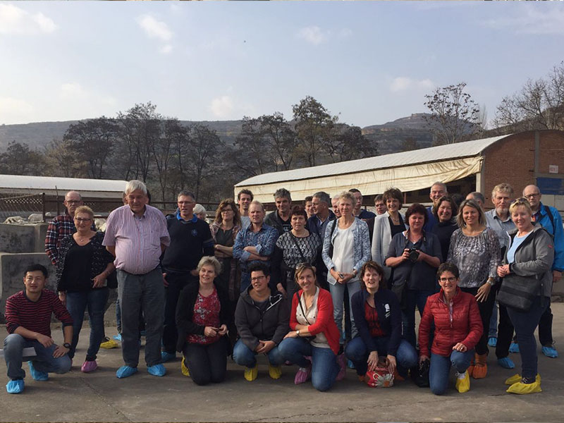 PP���ӡ�������(������Ϸ)�ٷ���վ