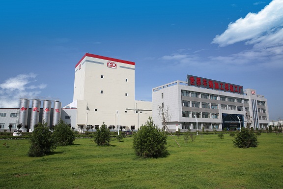 PP���ӡ�������(������Ϸ)�ٷ���վ