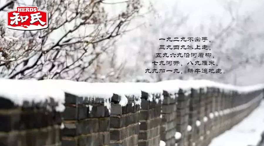 PP���ӡ�������(������Ϸ)�ٷ���վ