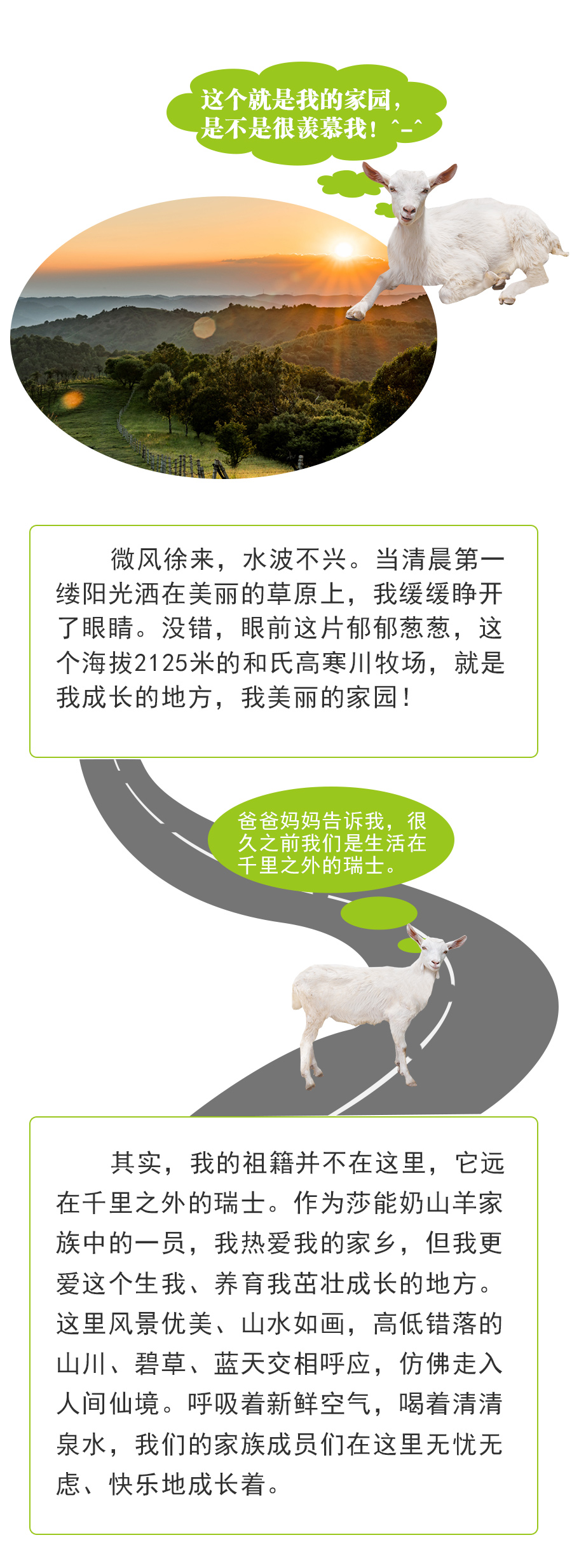 PP���ӡ�������(������Ϸ)�ٷ���վ