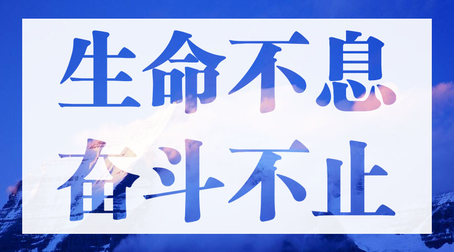 PP���ӡ�������(������Ϸ)�ٷ���վ