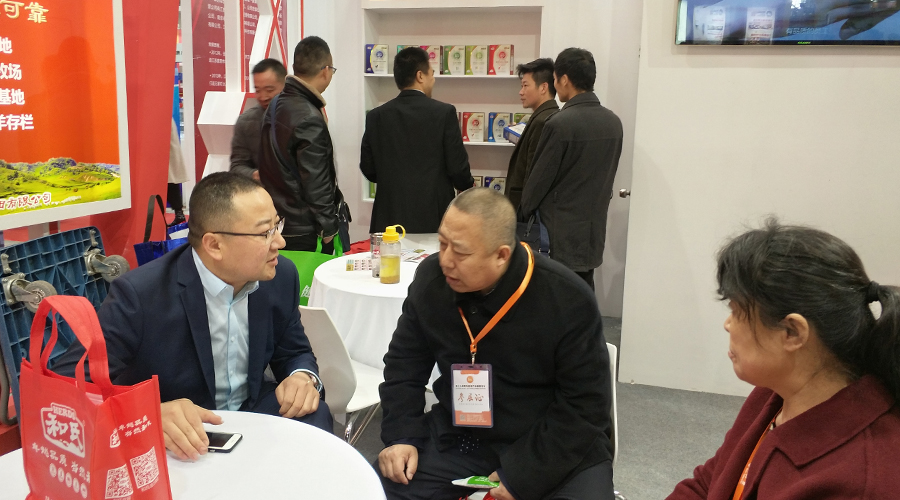 PP���ӡ�������(������Ϸ)�ٷ���վ