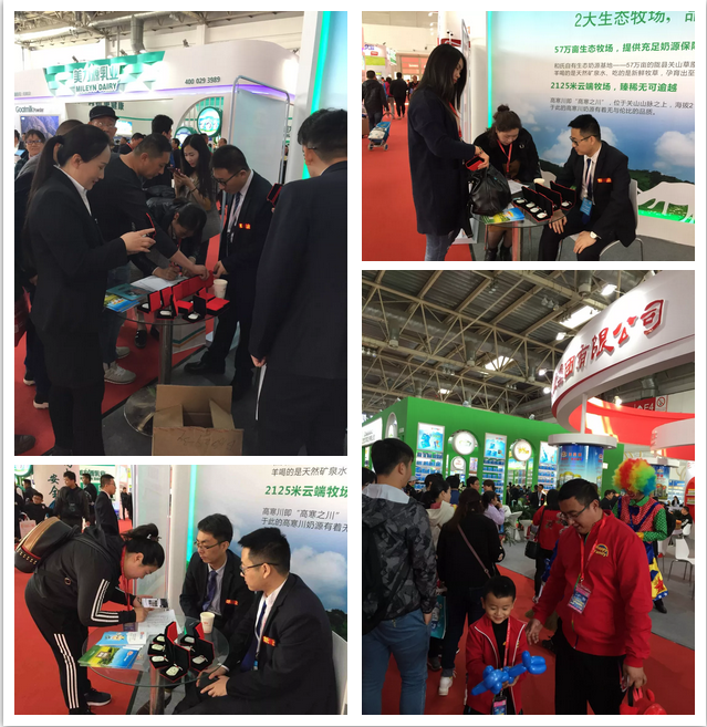 PP���ӡ�������(������Ϸ)�ٷ���վ