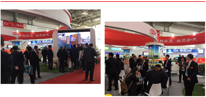 PP���ӡ�������(������Ϸ)�ٷ���վ