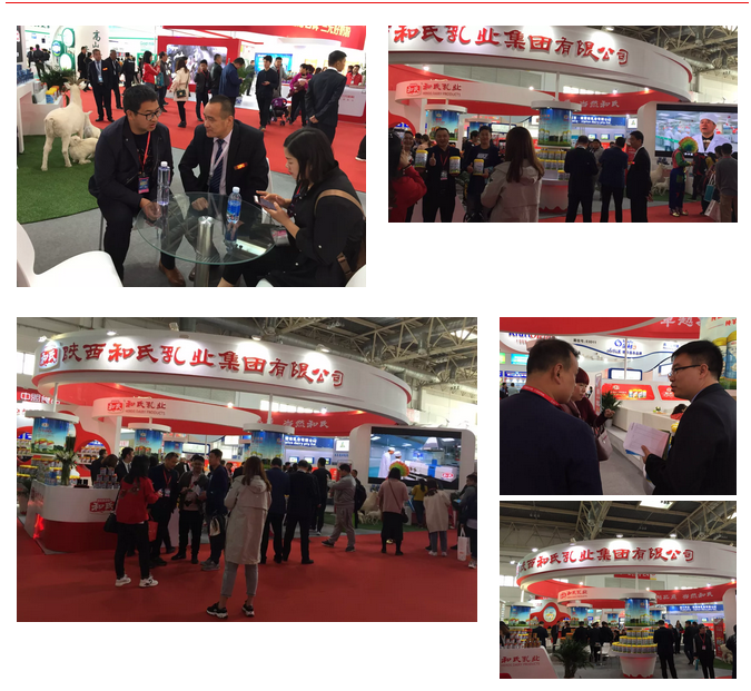 PP���ӡ�������(������Ϸ)�ٷ���վ