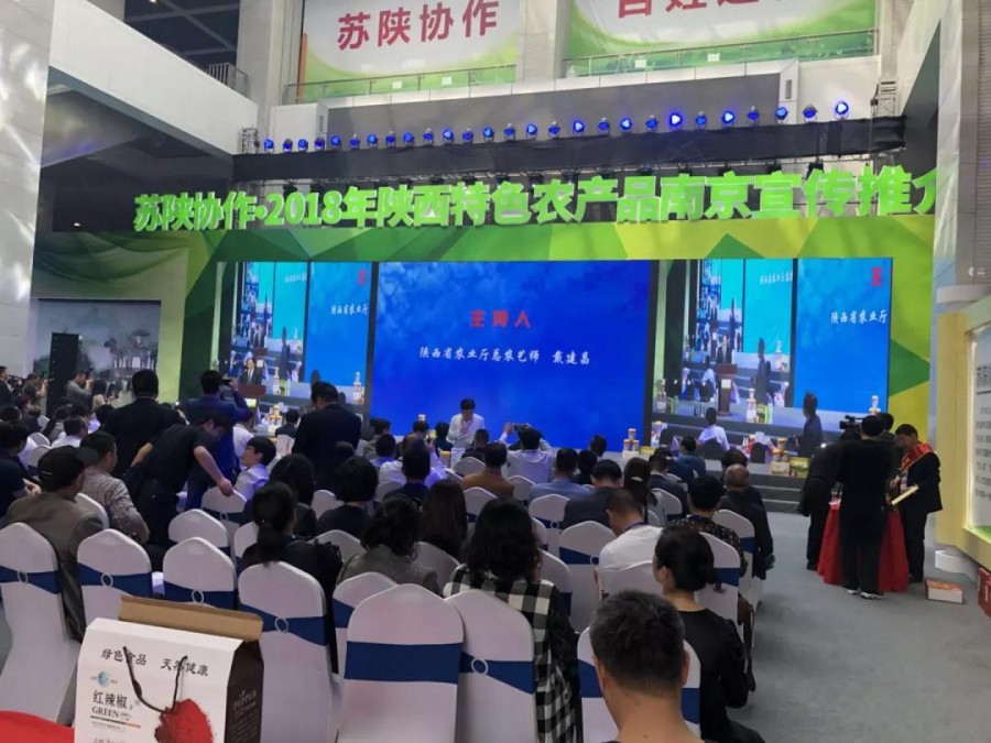 PP���ӡ�������(������Ϸ)�ٷ���վ