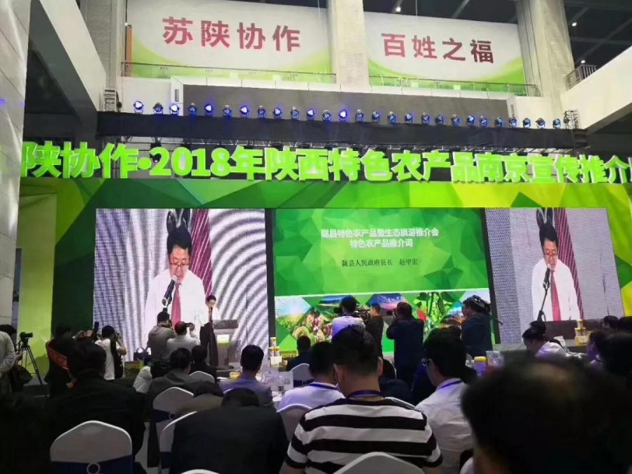 PP���ӡ�������(������Ϸ)�ٷ���վ