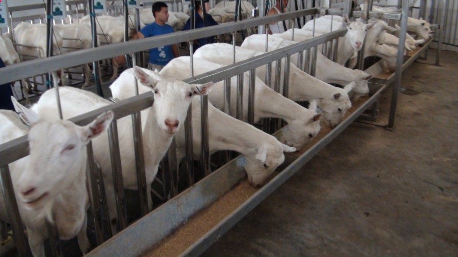 PP���ӡ�������(������Ϸ)�ٷ���վ