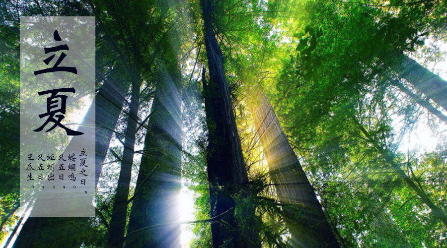 PP���ӡ�������(������Ϸ)�ٷ���վ