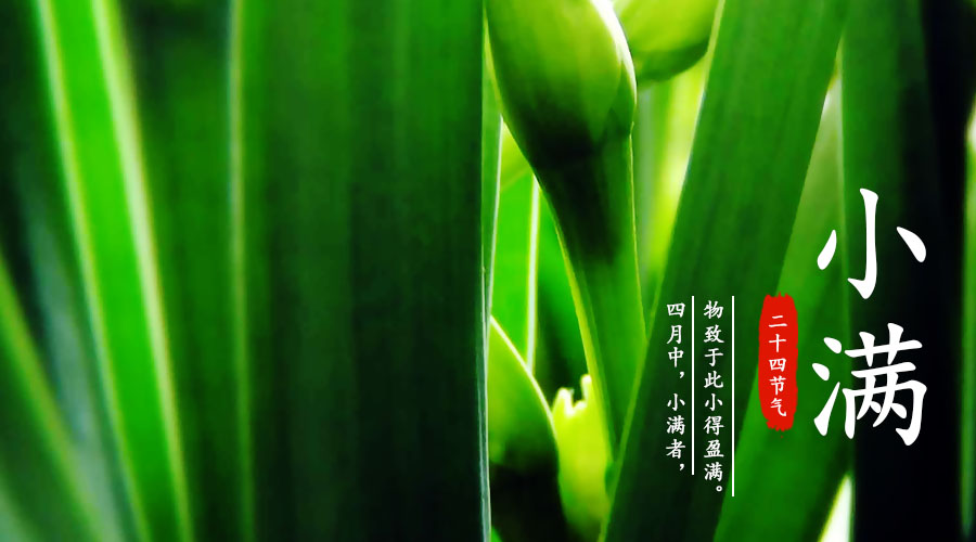 PP���ӡ�������(������Ϸ)�ٷ���վ