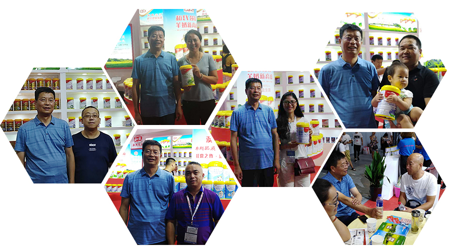 PP���ӡ�������(������Ϸ)�ٷ���վ