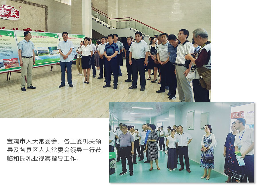 PP���ӡ�������(������Ϸ)�ٷ���վ