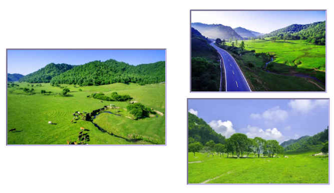 PP���ӡ�������(������Ϸ)�ٷ���վ