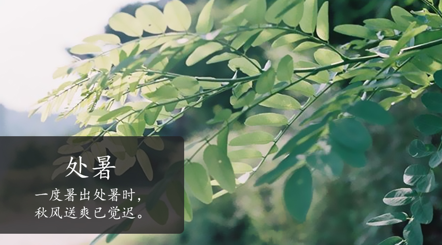 PP���ӡ�������(������Ϸ)�ٷ���վ