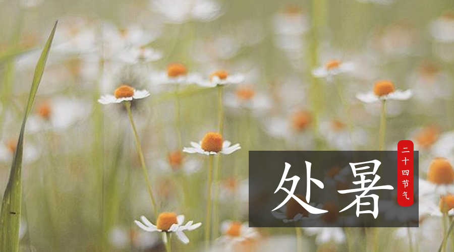 PP���ӡ�������(������Ϸ)�ٷ���վ