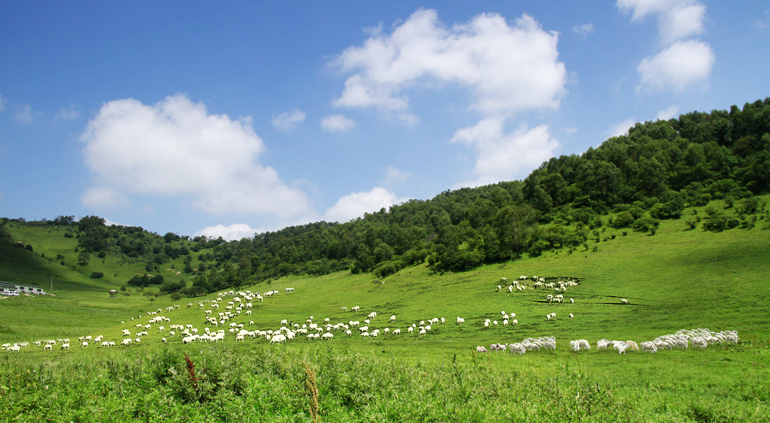 PP���ӡ�������(������Ϸ)�ٷ���վ