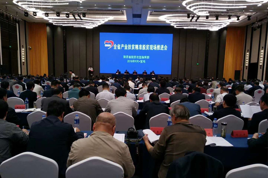 PP���ӡ�������(������Ϸ)�ٷ���վ