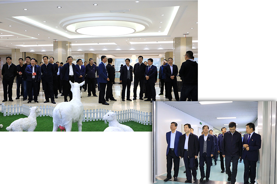 PP���ӡ�������(������Ϸ)�ٷ���վ