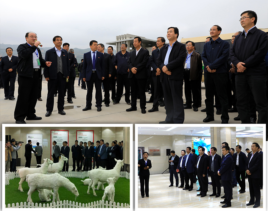 PP���ӡ�������(������Ϸ)�ٷ���վ