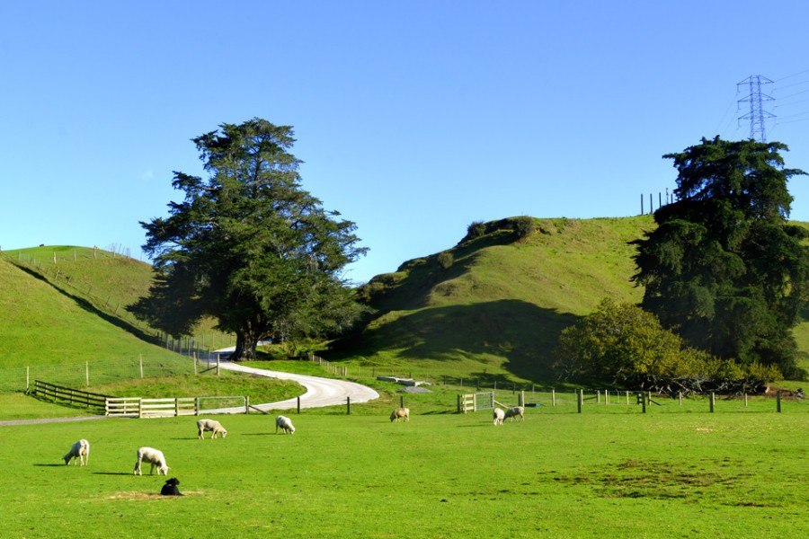 PP���ӡ�������(������Ϸ)�ٷ���վ