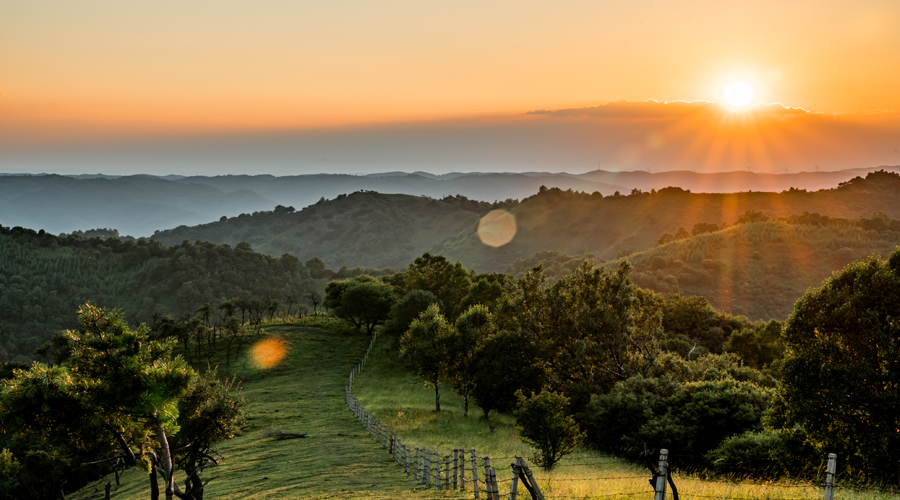 PP���ӡ�������(������Ϸ)�ٷ���վ