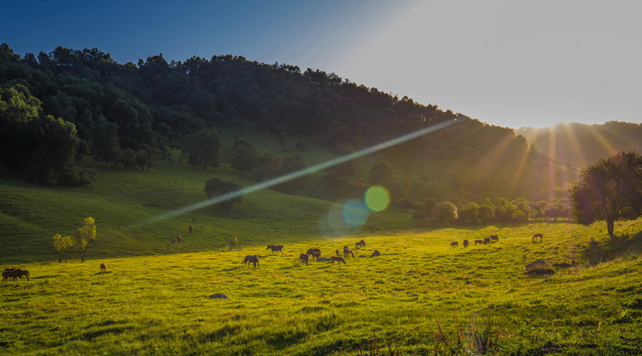 PP���ӡ�������(������Ϸ)�ٷ���վ