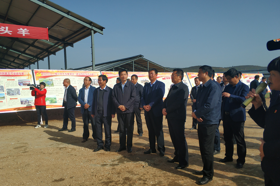 PP���ӡ�������(������Ϸ)�ٷ���վ