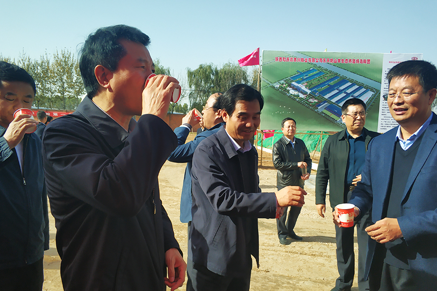 PP���ӡ�������(������Ϸ)�ٷ���վ