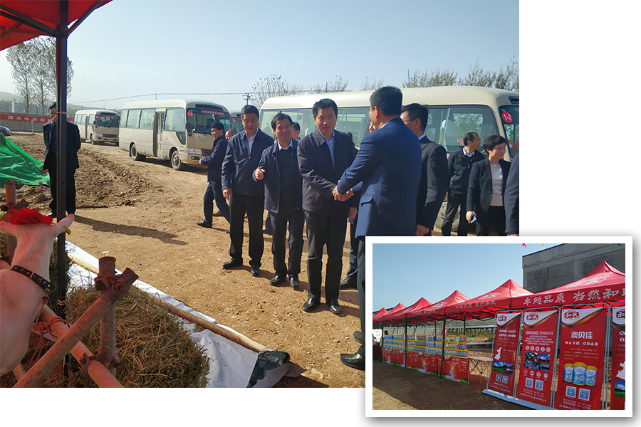 PP���ӡ�������(������Ϸ)�ٷ���վ