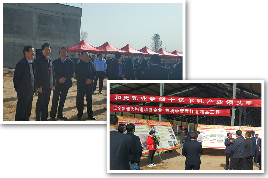 PP���ӡ�������(������Ϸ)�ٷ���վ